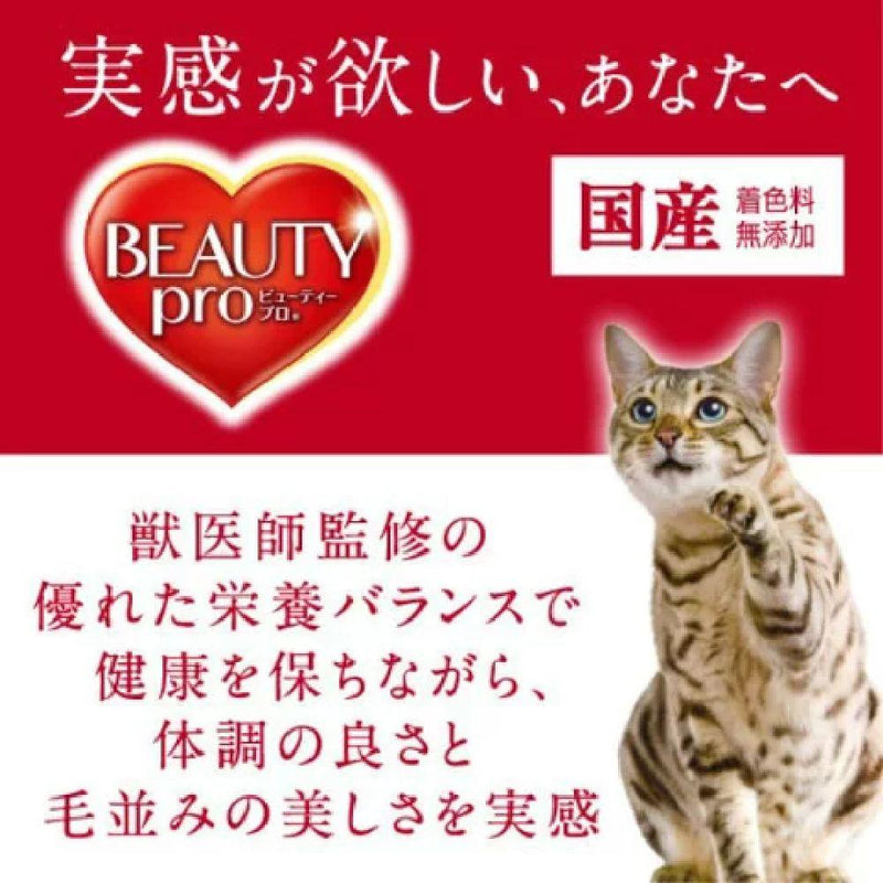Beauty Pro Cat Kidney Health Maintenance Age 8+ 1.4kg