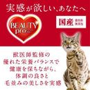 Beauty Pro Cat Kidney Health Maintenance Age 15+ 1.4kg