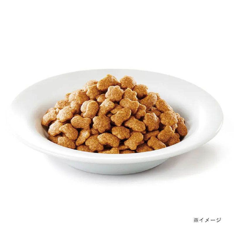 モンプチバッグ 15歳5種のブレンド 600g