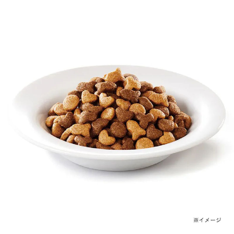 モンプチバッグ 子ねこ5種のブレンド 600g