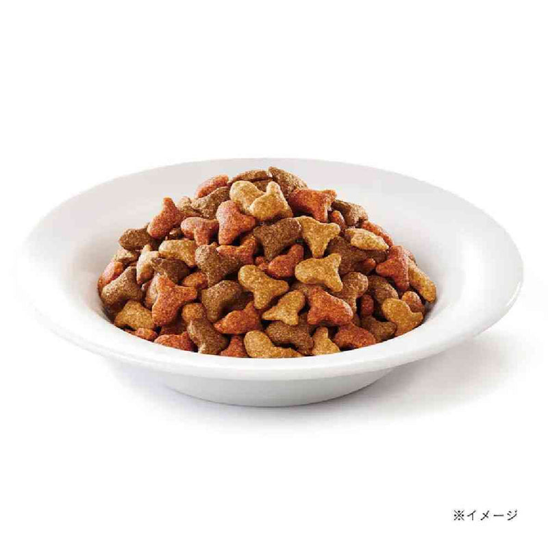 モンプチドライバッグ 味わい深い真鯛パウダー入り 600g