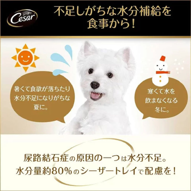 マース シーザー 子いぬ用 ビーフ にんじん・たまご入り 100g