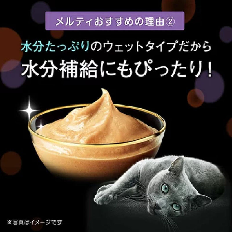 マース シーバ とろーり メルティ まぐろ味セレクション 12g×4本