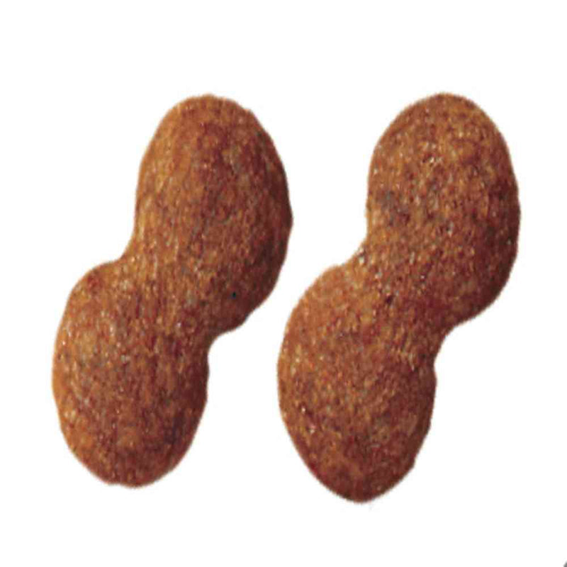 マースジャパンリミテッド プロマネージ 成犬用 ミニチュアシュナウザー専用 1.7kg