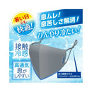 白元アース アイスノン冷涼感マスクグレー 2枚入り