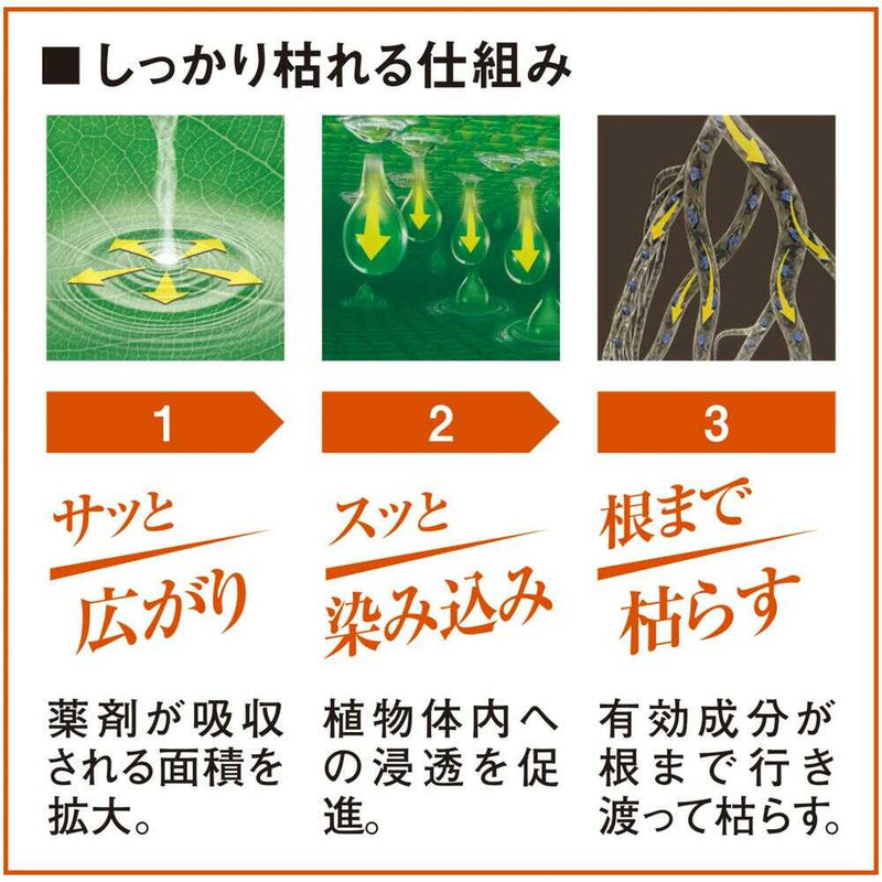 【農薬】フマキラー カダン 除草王 ザッソージエース 5L