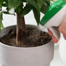 フマキラー 植物まわりのコバエカダン 300ml