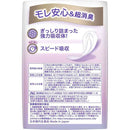 ウィスパー うすさら安心 快適の中量用 45cc 22枚