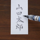 ぺんてる 筆ペン 速乾ぺんてる筆 うす墨 XFPD3L 1本