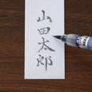 ぺんてる 筆ペン 速乾ぺんてる筆 うす墨 XFPD3L 1本