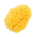 ピジョン 天然カイメン 1個