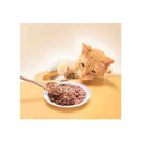 はごろもフーズ ねこふり かつお味 15ｇ