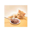 はごろもフーズ ねこふり煮干し味 15ｇ