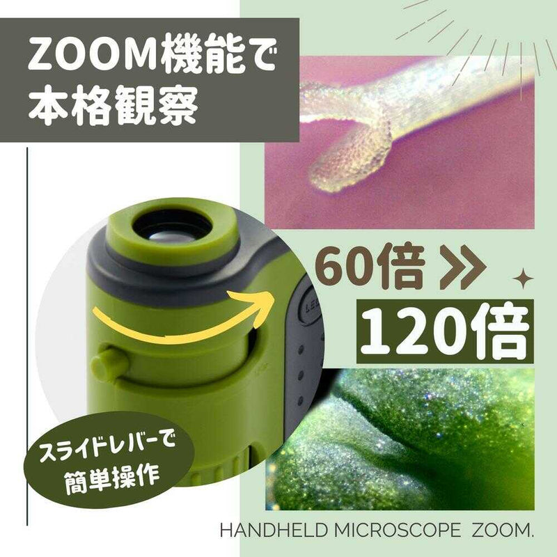 レイメイ藤井 ハンディ顕微鏡ZOOM ブラック 1個入