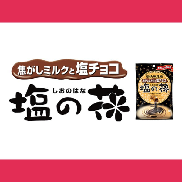 ◆味覚糖 塩の花 80G