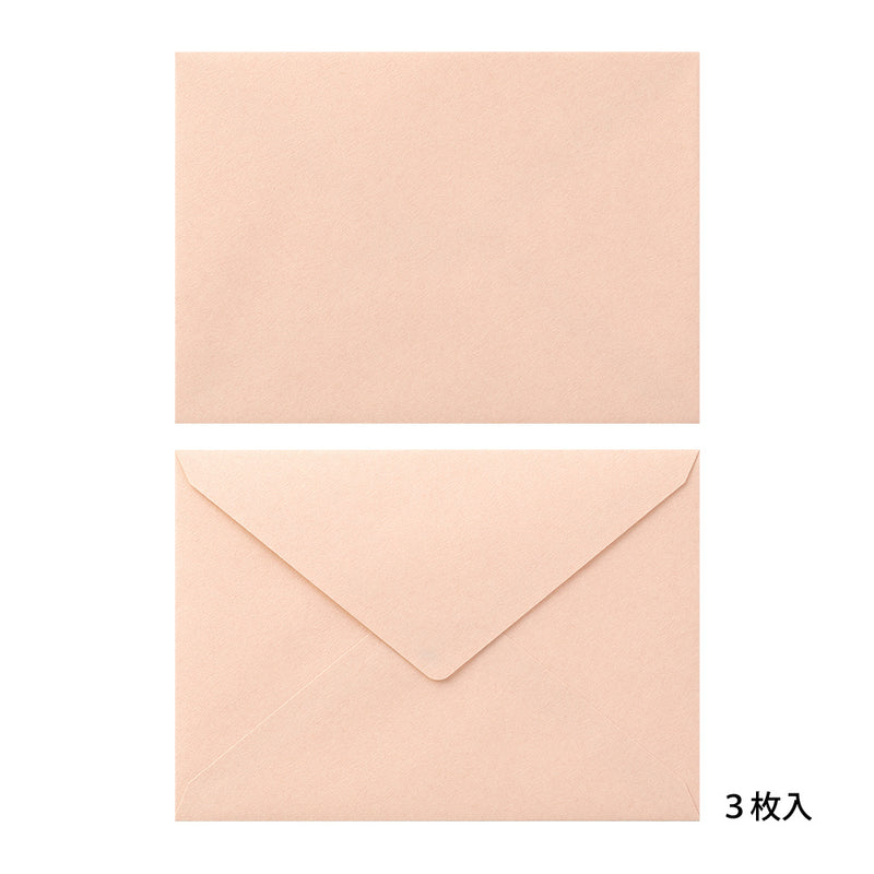 ミドリ 封筒 しあわせ 道の草花柄 6枚（2色×3枚）