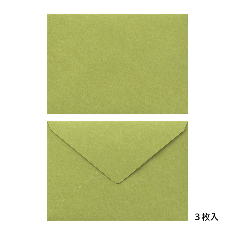 ミドリ 封筒 しあわせ 道の草花柄 6枚（2色×3枚）