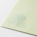 ミドリ 金封 のし袋 花色和紙 緑 3枚入