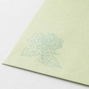 ミドリ 金封 のし袋 花色和紙 緑 3枚入