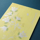 ミドリ 金封 のし袋 橘柄 3枚入