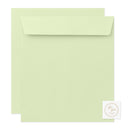 ミドリ カラー色紙用封筒 黄緑 1個