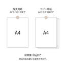 ミドリ ピクチャークリップ 木製 グレー 1パック