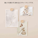 ミドリ ピクチャークリップ 木製 ナチュラル 1パック