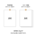 ミドリ ピクチャークリップ 木製 ナチュラル 1パック