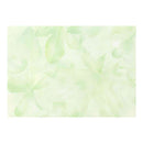 ミドリ レターセット100 森色ノキモチ 便箋／16枚入、封筒／8枚入、シール／1枚入