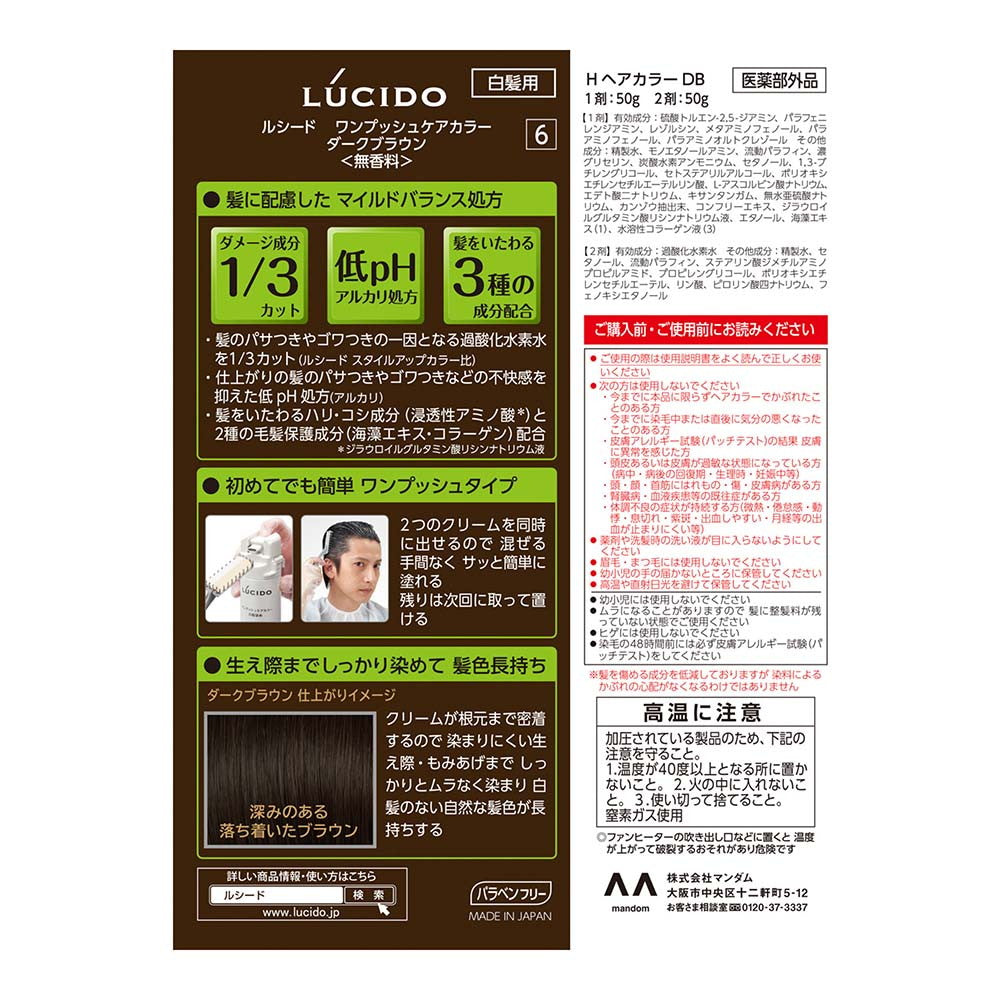 医薬部外品】マンダム ルシード ワンプッシュケアカラー ダーク