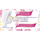 ソフィはだおもい ふつうの日用 羽つき 26枚