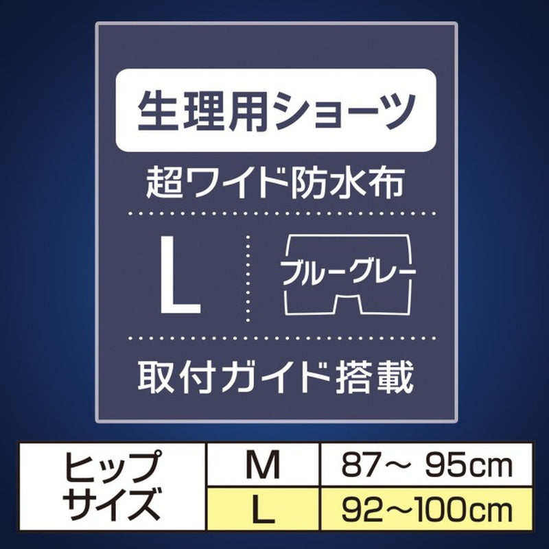 ソフィ 超熟睡密着フィットショーツLブルーグレー