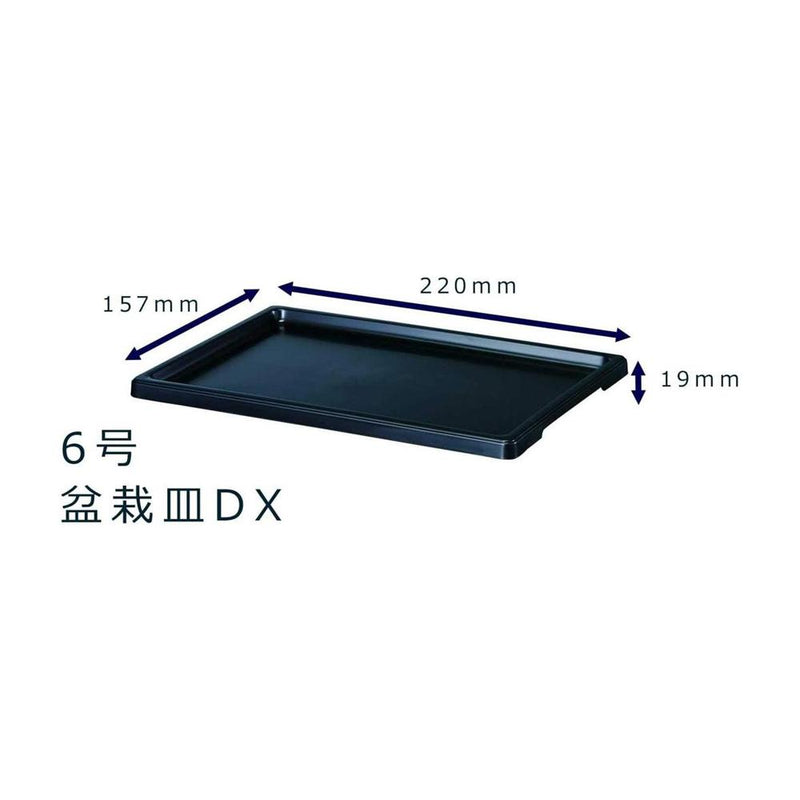 大和プラ販 盆栽皿ＤＸ ブラック 6号