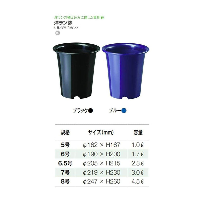 大和プラ販 洋ラン鉢 ブルー 6号