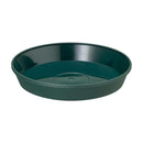 大和プラ販 フレグラープレート ダークグリーン 30型用