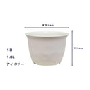 大和プラ販 ノーミィローポット アイボリー 5号