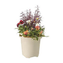 大和プラ販 ハンドルプランター アイボリー 丸35型