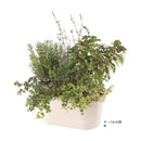 大和プラ販 グロウコンテナ ホワイト オーバル33型