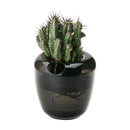 大和プラ販 ＶＡＳＥ スモークブラック シングル