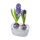 大和プラ販 ＶＡＳＥ クリア ダブル