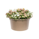 大和プラ販 コージーバスケット ブラウン 20型