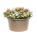 大和プラ販 コージーバスケット ブラウン 25型