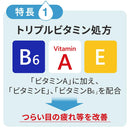 [第2类药品] Smile 40EX Cool 13ML 13mL