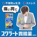 【第2類医薬品】スクラート胃腸薬錠 102錠