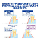 【医薬部外品】デントヘルス薬用ハミガキしみるブロック 85g