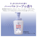 [Quasi-drug] Lion hadakara medicated deodorant foam body soap body