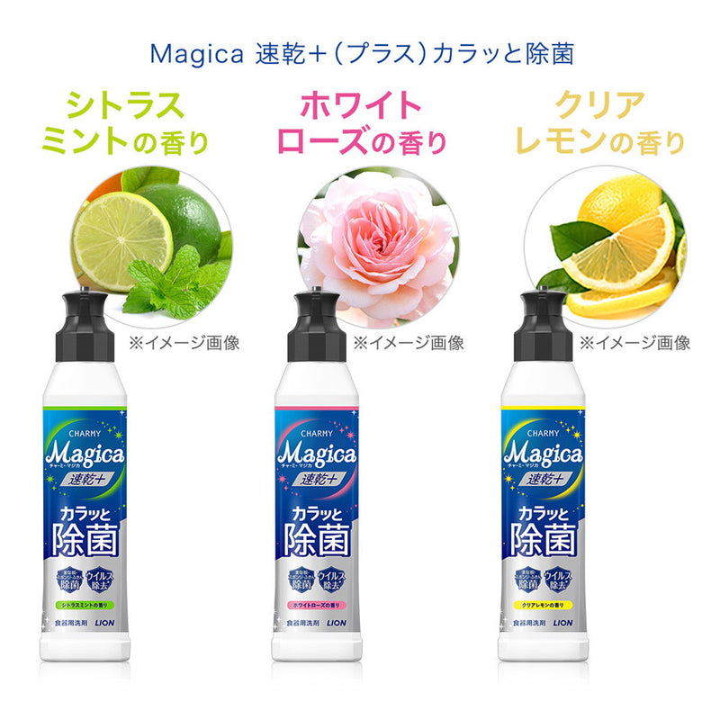 Magica速干+Karatto消毒柠檬身体