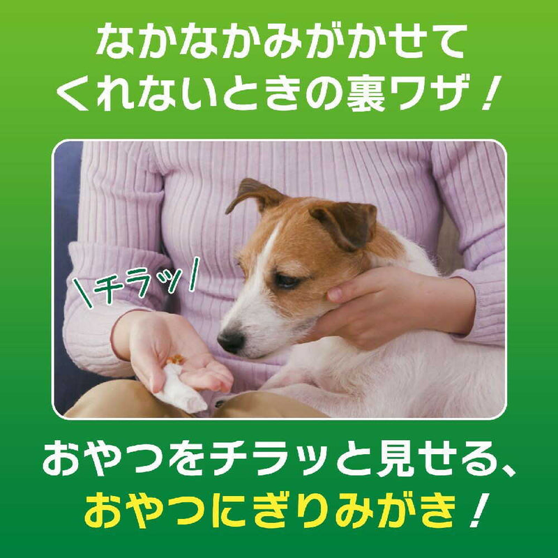 PETKISS 歯みがきシート