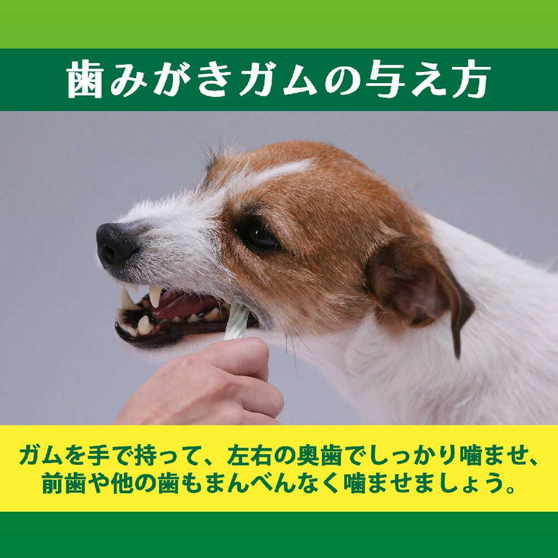 ライオン ペットキッス 食後の歯みがきガム 小型犬用135g