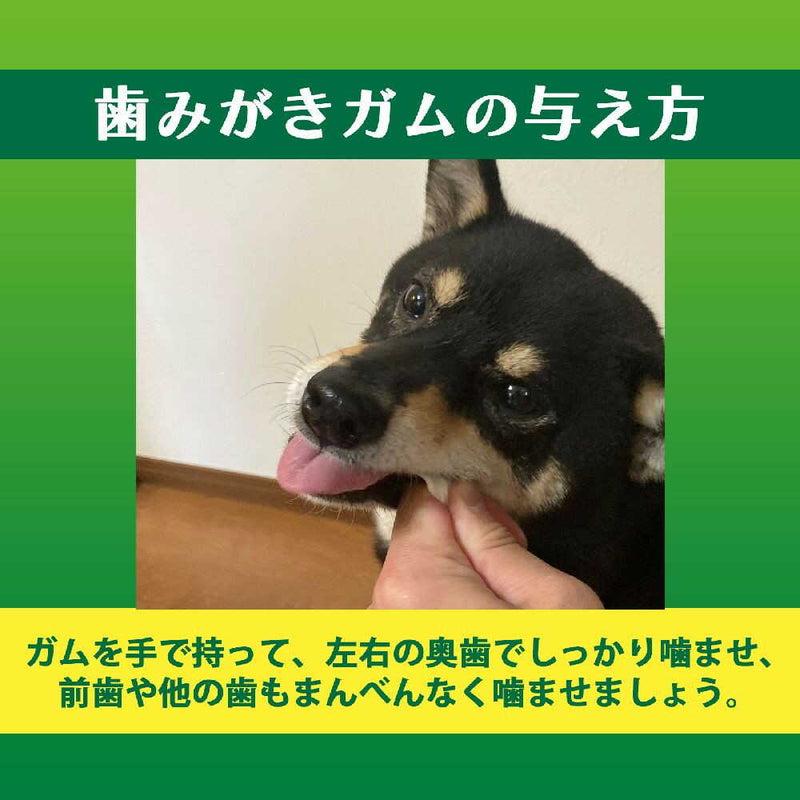 ライオン ペットキッス 食後の歯みがきガム やわらかタイプ 超小型犬〜小型犬用